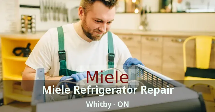 Miele Refrigerator Repair Whitby - ON