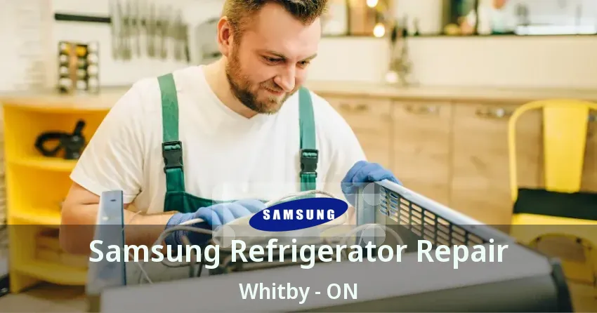Samsung Refrigerator Repair Whitby - ON