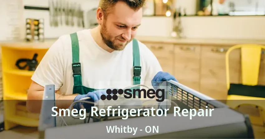 Smeg Refrigerator Repair Whitby - ON