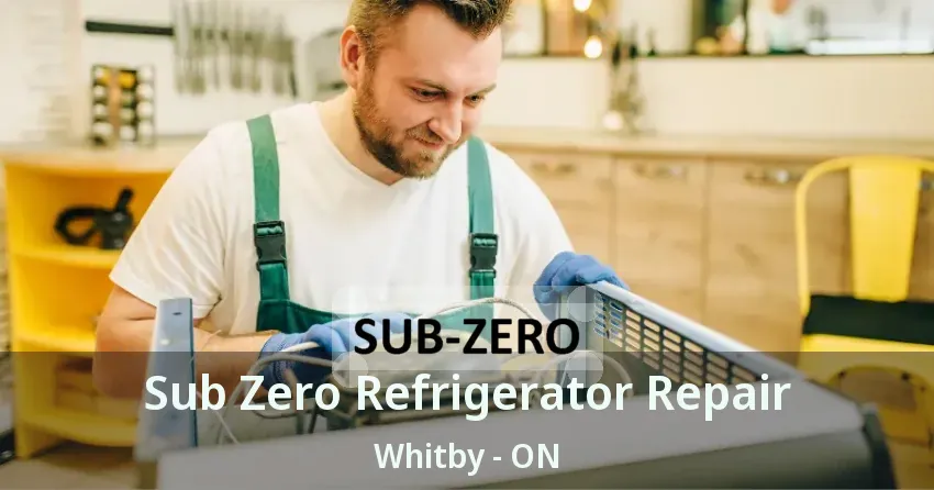 Sub Zero Refrigerator Repair Whitby - ON