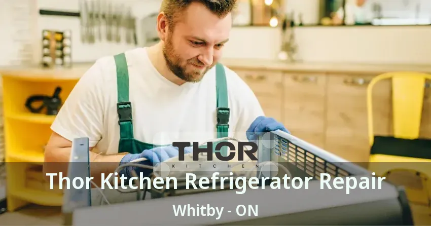 Thor Kitchen Refrigerator Repair Whitby - ON