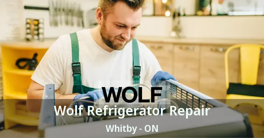 Wolf Refrigerator Repair Whitby - ON