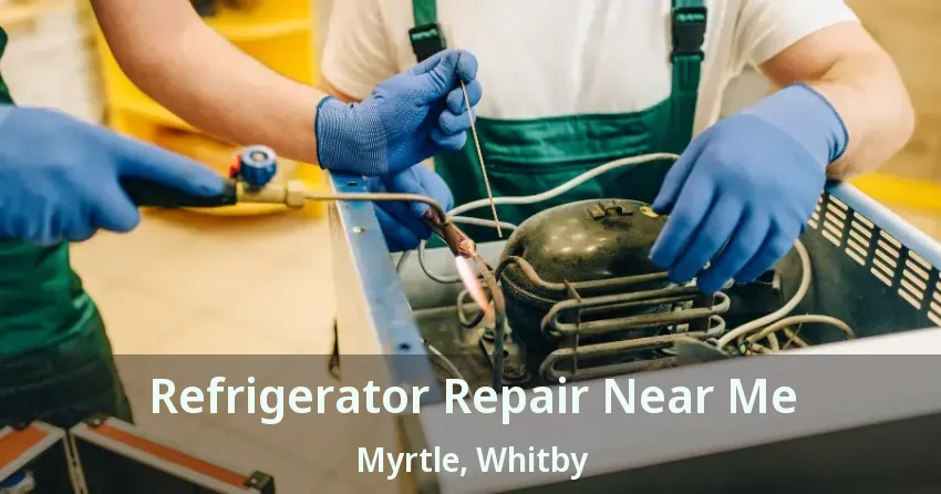 Refrigerator Repair Near Me Myrtle, Whitby - ON