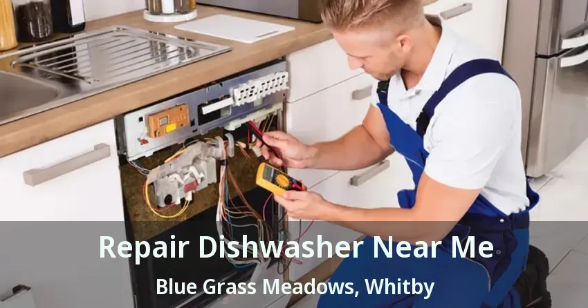 Repair Dishwasher Near Me Blue Grass Meadows, Whitby - ON