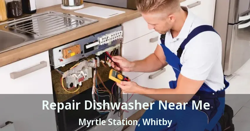 Repair Dishwasher Near Me Myrtle Station, Whitby - ON
