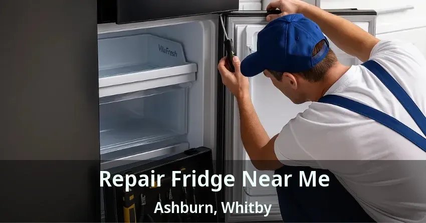 Repair Fridge Near Me Ashburn, Whitby - ON