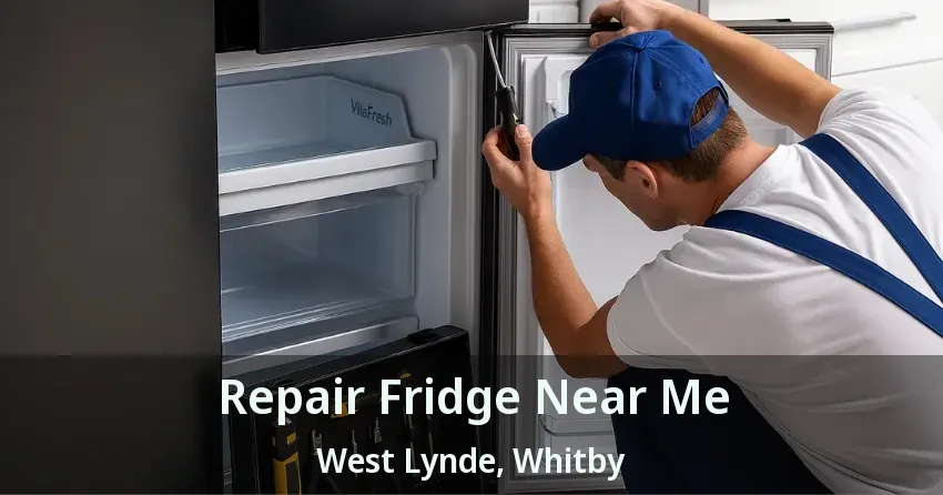 Repair Fridge Near Me West Lynde, Whitby - ON