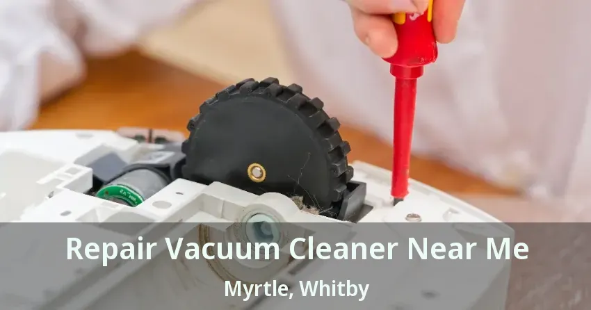 Repair Vacuum Cleaner Near Me Myrtle, Whitby - ON