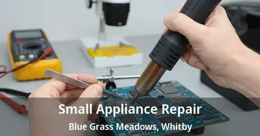 Small Appliance Repair Blue Grass Meadows, Whitby - ON