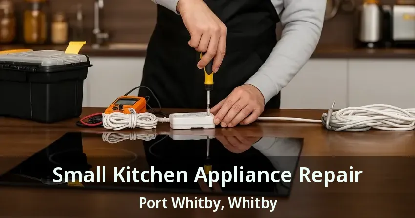 Small Kitchen Appliance Repair Port Whitby, Whitby - ON