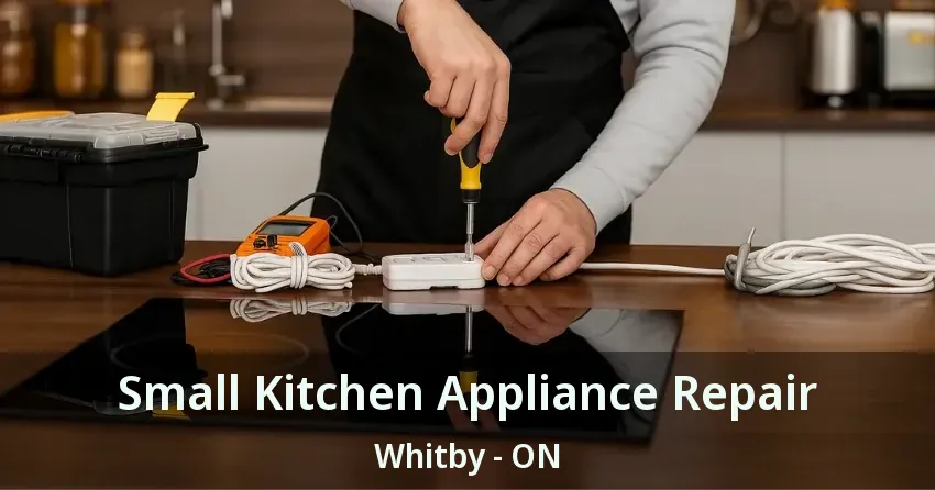 Small Kitchen Appliance Repair Whitby - ON