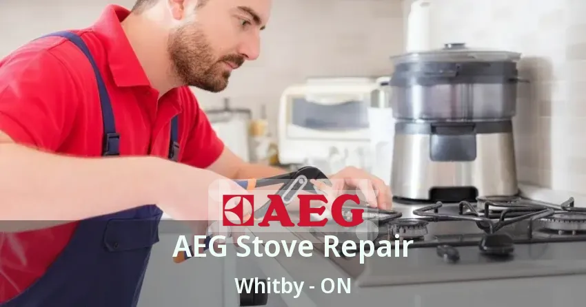 AEG Stove Repair Whitby - ON