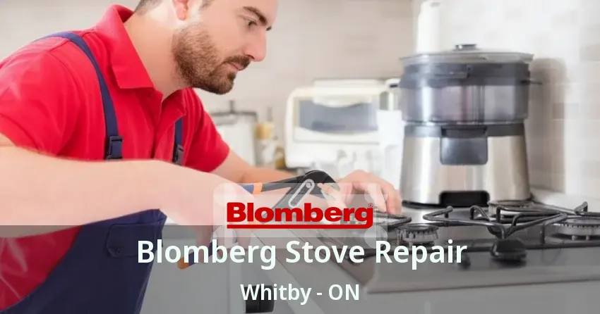 Blomberg Stove Repair Whitby - ON