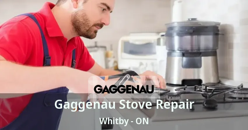 Gaggenau Stove Repair Whitby - ON