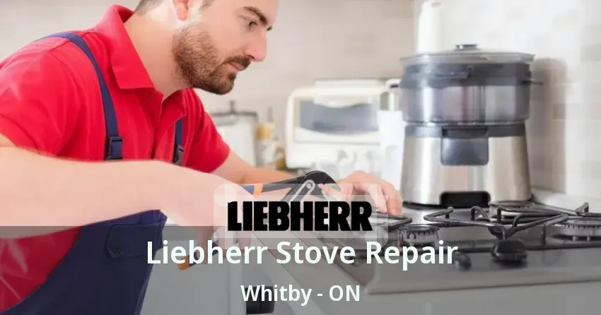 Liebherr Stove Repair Whitby - ON
