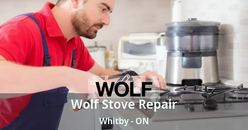Wolf Stove Repair Whitby - ON