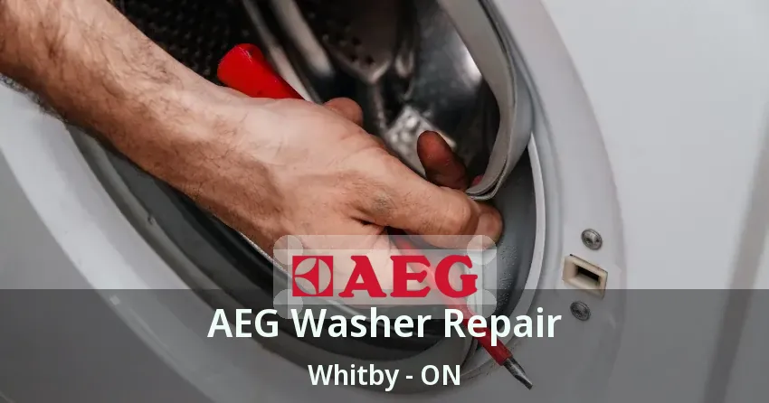 AEG Washer Repair Whitby - ON