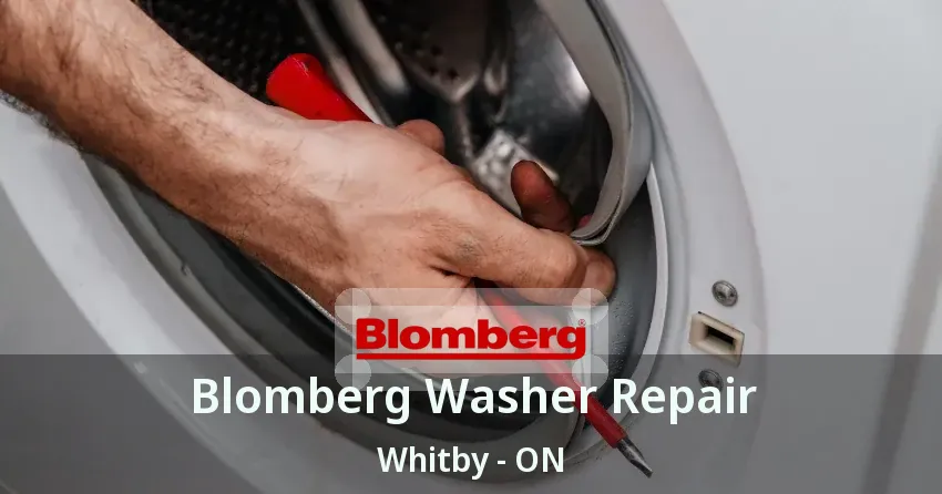 Blomberg Washer Repair Whitby - ON