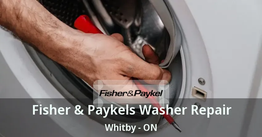 Fisher & Paykels Washer Repair Whitby - ON