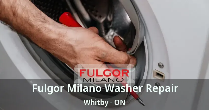 Fulgor Milano Washer Repair Whitby - ON