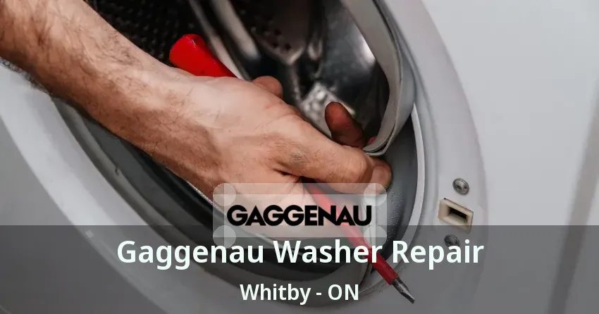 Gaggenau Washer Repair Whitby - ON