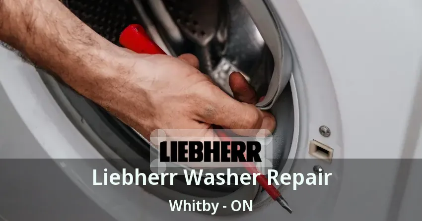 Liebherr Washer Repair Whitby - ON