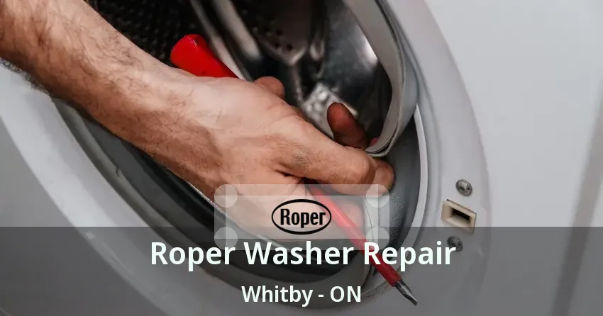 Roper Washer Repair Whitby - ON