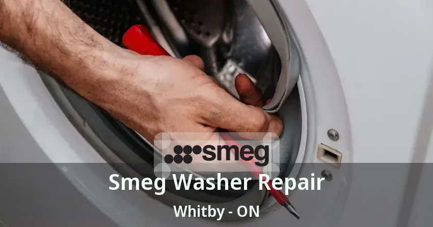 Smeg Washer Repair Whitby - ON