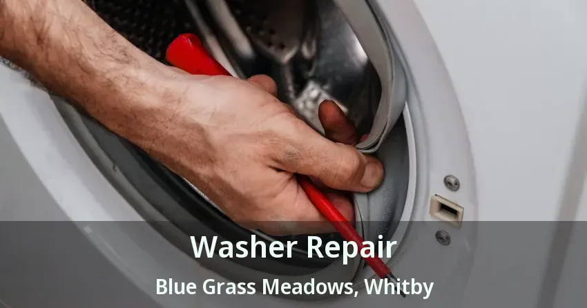 Washer Repair Blue Grass Meadows, Whitby - ON