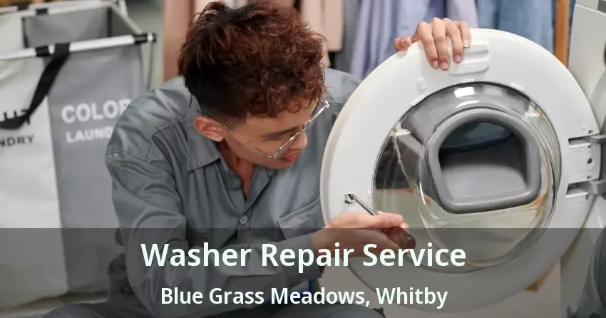 Washer Repair Service Blue Grass Meadows, Whitby - ON