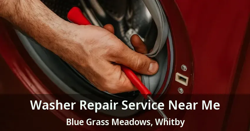 Washer Repair Service Near Me Blue Grass Meadows, Whitby - ON