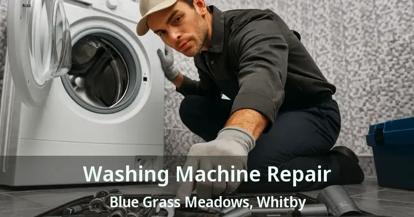 Washing Machine Repair Blue Grass Meadows, Whitby - ON
